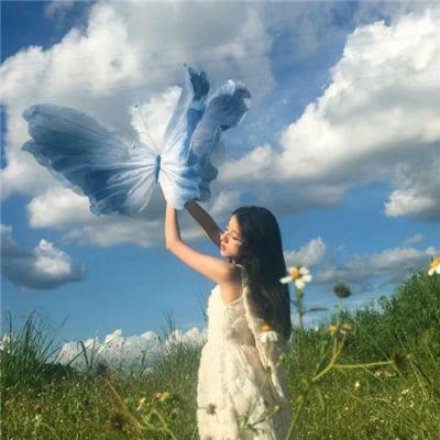 狐狸新娘星